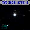 TYC 3877-1755-1