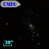CXOXB J142916.1+335929