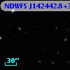 NDWFS J142442.8+325552
