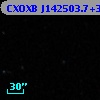 CXOXB J142503.7+330819