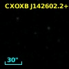 NDWFS J142602.2+351813