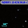 NDWFS J142636.0+345249