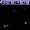 CXOXB J142644.3+333050