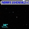 NDWFS J142656.2+331316