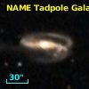 NAME TADPOLE GALAXY