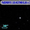 NDWFS J142901.8+323506
