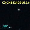 NDWFS J142916.1+335537
