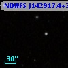 NDWFS J142917.4+335558
