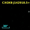 NDWFS J142918.6+351356