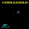 NDWFS J142928.8+352337