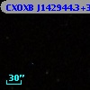 CXOXB J142944.3+345226