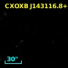 NDWFS J143116.8+344132