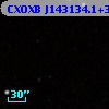 CXOXB J143134.1+341604