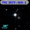 TYC 3877-169-1