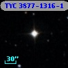 TYC 3877-1316-1