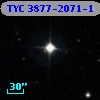 TYC 3877-2071-1