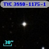 TYC 3880-1175-1