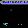 NDWFS J143742.9+341632