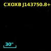 NDWFS J143750.9+335331