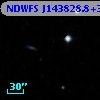 NDWFS J143828.8+343646
