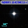 NDWFS J142902.5+335039