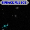 FIRBACK FN1 025