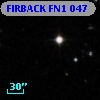 FIRBACK FN1 047