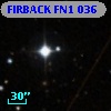 FIRBACK FN1 036