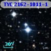 TYC 2162-1011-1