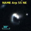 NAME ARP 55 NE