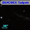 [DLM2003] Tadpole  1