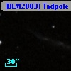 [DLM2003] Tadpole  2