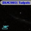 [DLM2003] Tadpole  3