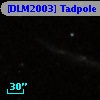[DLM2003] Tadpole  4