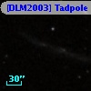 [DLM2003] Tadpole  6