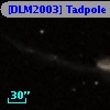 [DLM2003] Tadpole  8