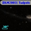 [DLM2003] Tadpole  9