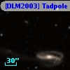 [DLM2003] Tadpole 10