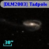 [DLM2003] Tadpole 11
