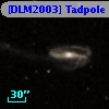 [DLM2003] Tadpole 12