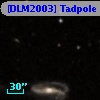 [DLM2003] Tadpole 14