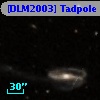 [DLM2003] Tadpole 15
