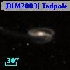 [DLM2003] Tadpole 17