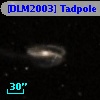 [DLM2003] Tadpole 18