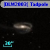 [DLM2003] Tadpole 19