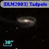 [DLM2003] Tadpole 20