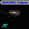 [DLM2003] Tadpole 21