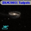 [DLM2003] Tadpole 22