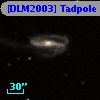 [DLM2003] Tadpole 25