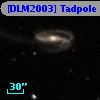 [DLM2003] Tadpole 26